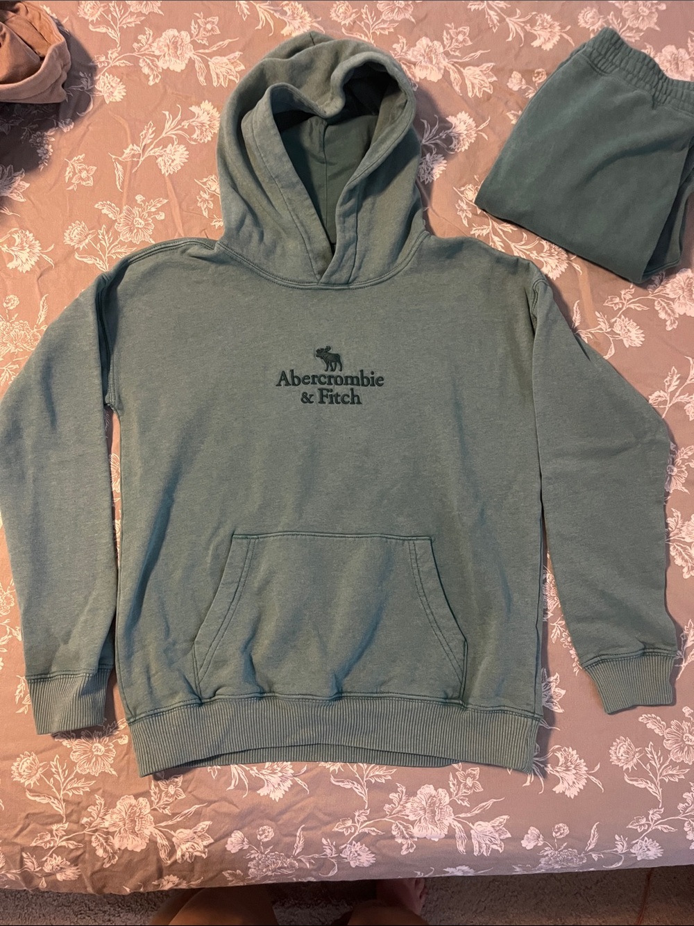 Abercrombie & Fitch Kids Sage Green Fleece Hoodie
